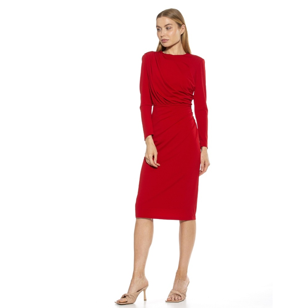 ALEXIA ADMOR: Nicolette Dress (NWT)